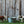 Load image into Gallery viewer, Hereford Cow Chocolate