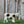 Load image into Gallery viewer, Hereford Cow Chocolate