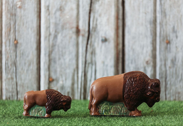 large and small chocolate bison