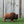 Load image into Gallery viewer, large chocolate bison