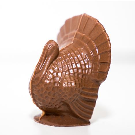 Chocolate Turkey