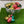 Load image into Gallery viewer, Pretty Easter and Spring Chocolate with Peanut Butter inside by Mr. B&#39;s Chocolates
