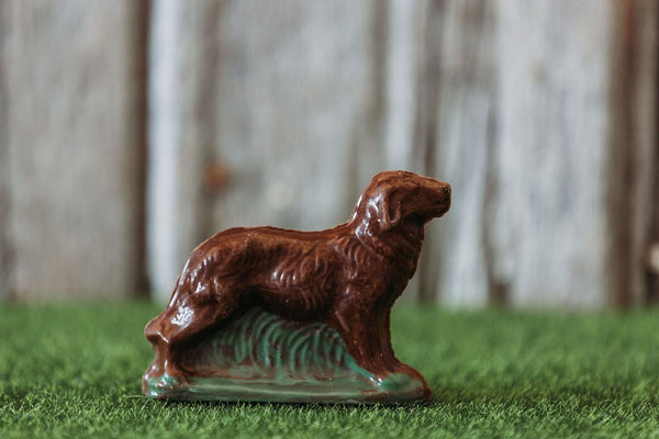 Retriever Dog Chocolate